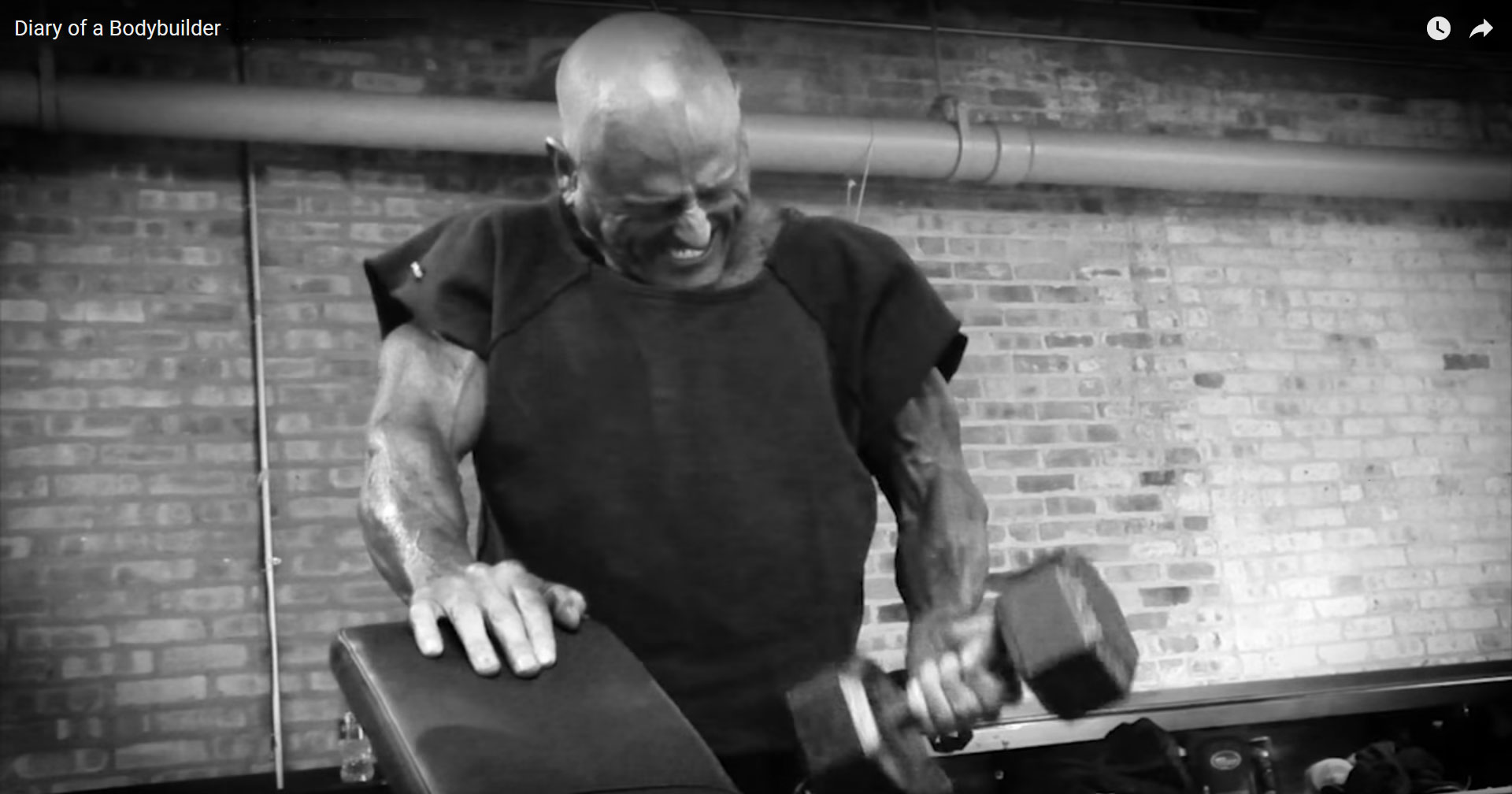 Diary of a Bodybuilder